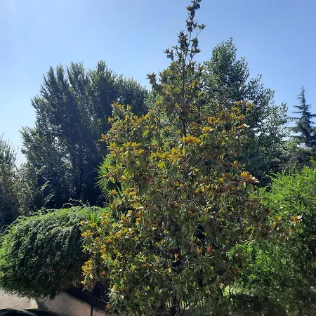 La Casa Di Livia Appartement